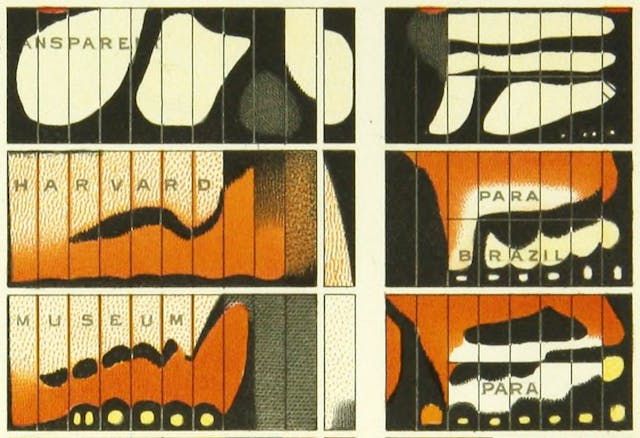 Alfred G. Mayer’s *On the Color and Color-Patterns of Moths and Butterflies* (1897)